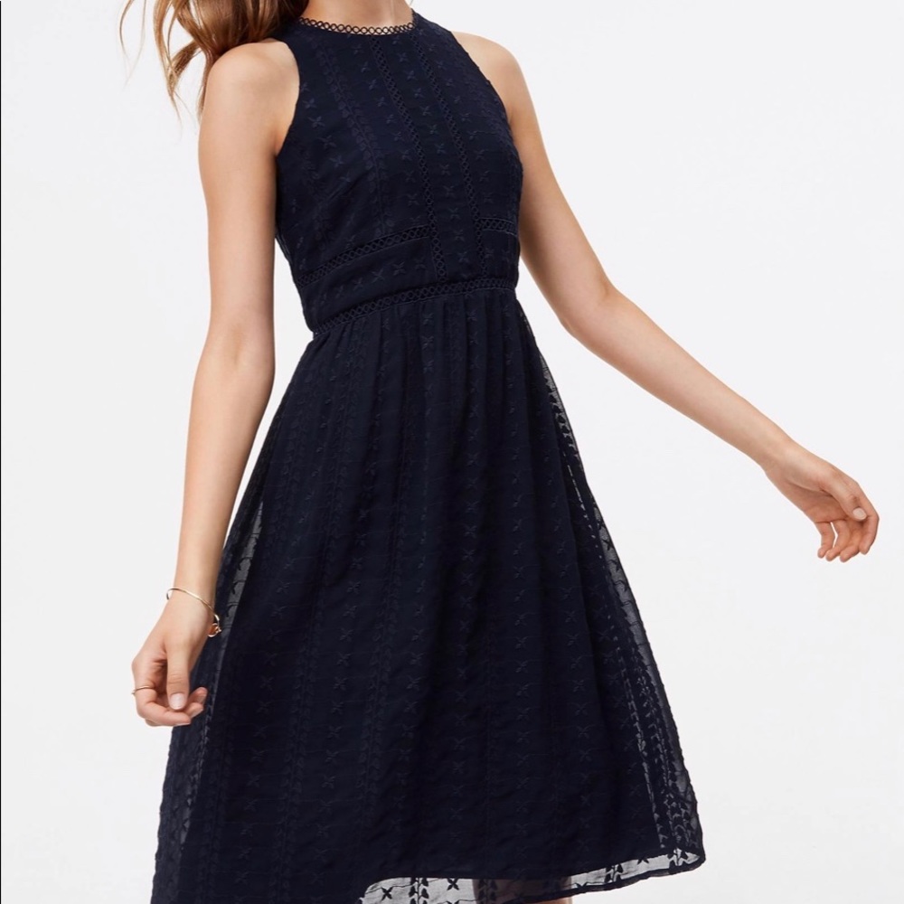 Circle Lace Embroidered Flare Dress